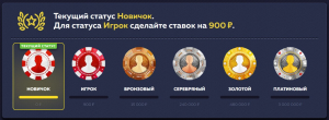 Система лояльности казино